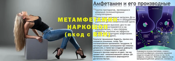 шишки Покачи