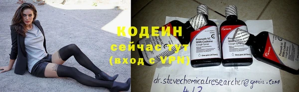 шишки Покачи