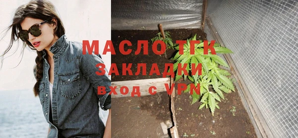 шишки Покачи