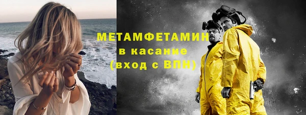 шишки Покачи