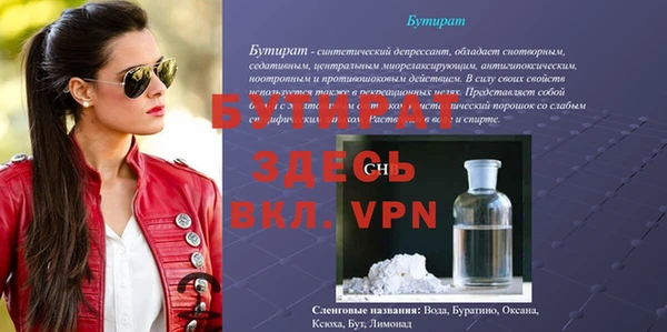 шишки Покачи