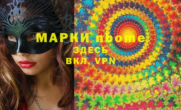 шишки Покачи