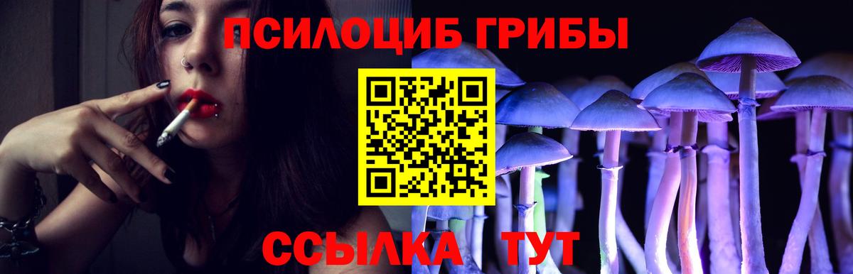 Галлюциногенные грибы мухоморы  Вход с VPN  Советск 
